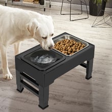 3 Piece Astro Elevated Dual Pet Feeder Set